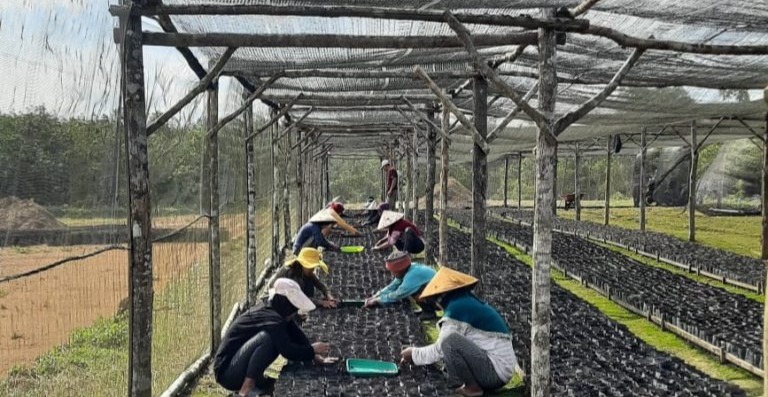 Koperasi Illustration